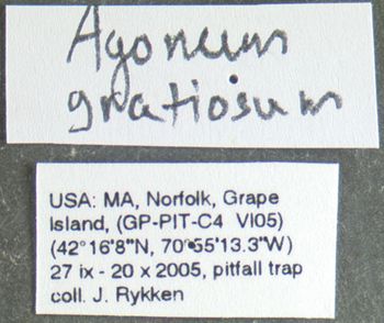 Media type: image;   Entomology 602291 Aspect: labels